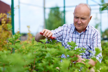 Similar image 20937749