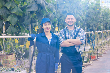 Similar image 20925279