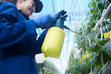 Similar image 20941721