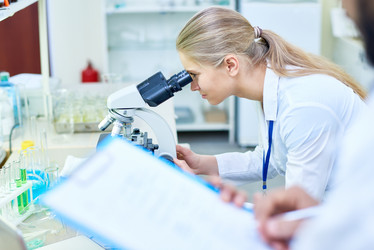 Similar image 20919469