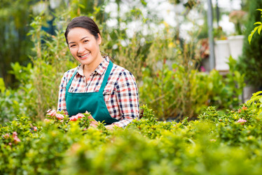 Similar image 20897957