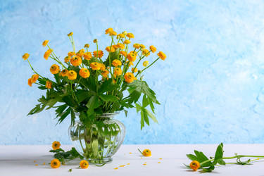 Similar image 20970849