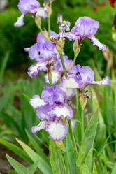 Similar image 20970884