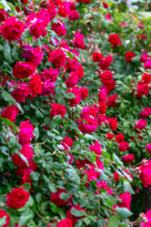 Similar image 20970887