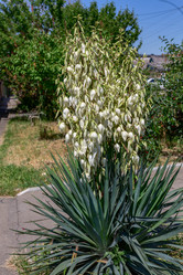 Similar image 20970893