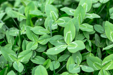 Similar image 20970926