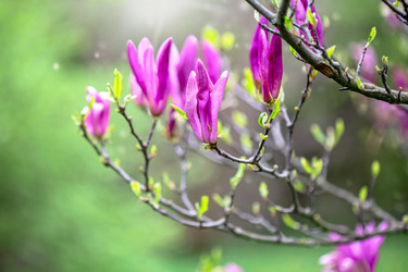 Similar image 20970927