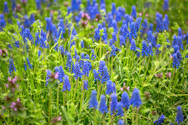 Similar image 20970928