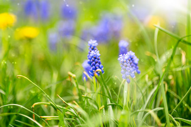 Similar image 20970929