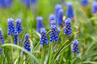 Similar image 20970930