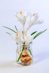 Similar image 20970937