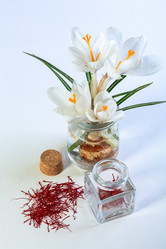 Similar image 20970940