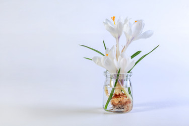 Similar image 20970941