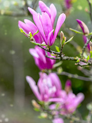 Similar image 20970948