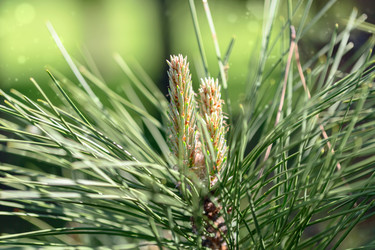 Similar image 20970953