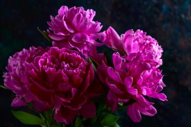 Similar image 20970966