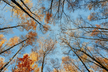 Similar image 20974861