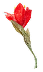 Similar image 21012790