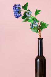 Similar image 20969609