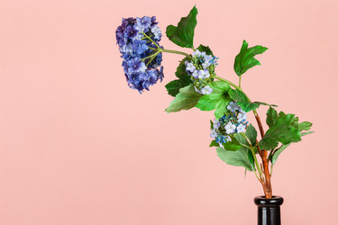 Similar image 20969610