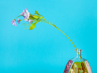 Similar image 20969670