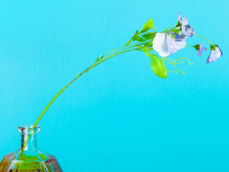 Similar image 20969671