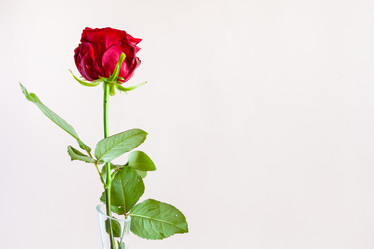 Similar image 20977339