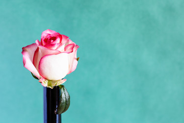 Similar image 20977635