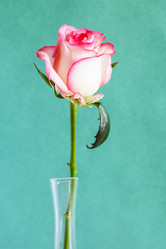 Similar image 20977638