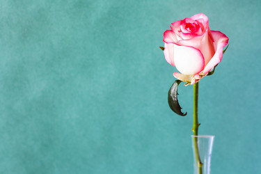 Similar image 20977640