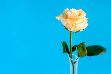 Similar image 20977849