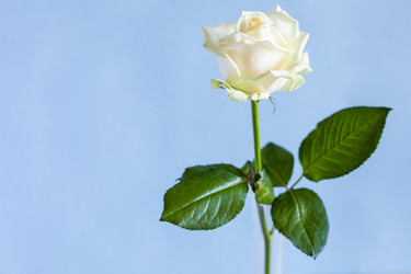 Similar image 20977853