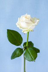 Similar image 20977854