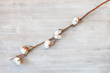 Similar image 20978078