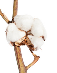 Similar image 20978085