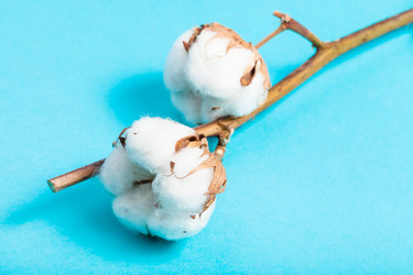 Similar image 21012804