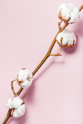 Similar image 21013103