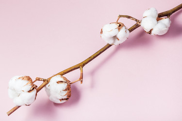 Similar image 21013133