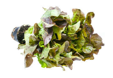 Similar image 20970469