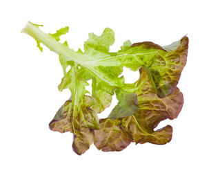 Similar image 20970472