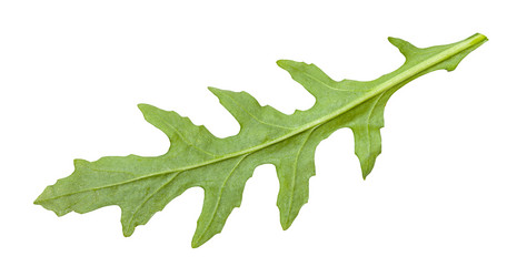 Similar image 21013014