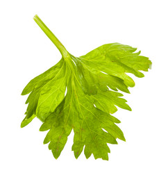 Similar image 21013324