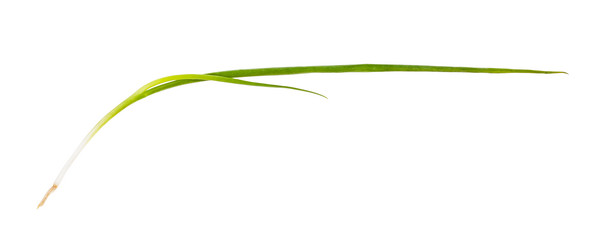 Similar image 21013365