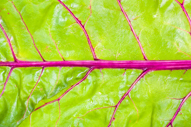 Similar image 21013445