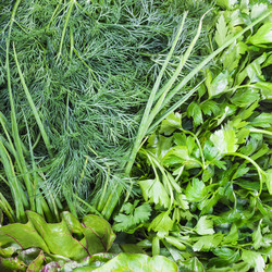 Similar image 21013497