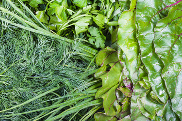 Similar image 21013498