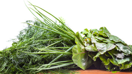 Similar image 21013499