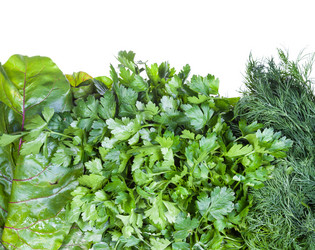 Similar image 21013559