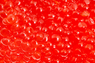 Similar image 20969213