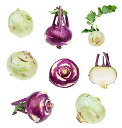 Similar image 20969911